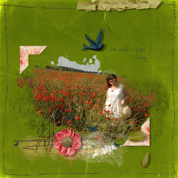 12may_poppies_paint3