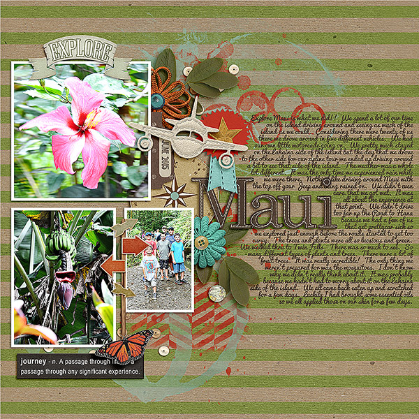 13-Explore Maui