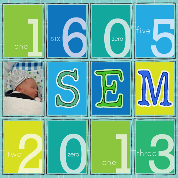 130516-sem
