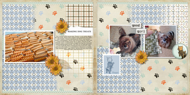 14.-Making-Dog-Treats
