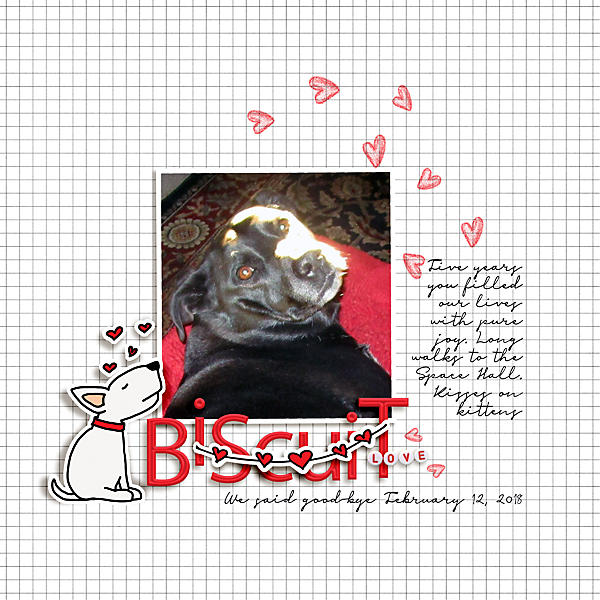 14 March - SOSN02122018-biscuit-bye-copy