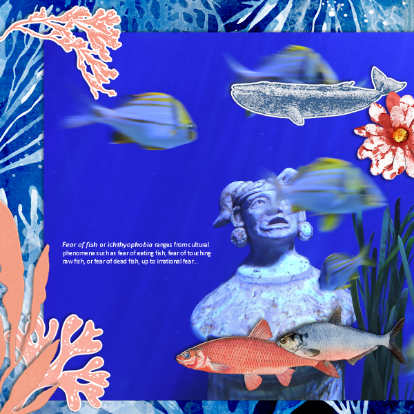 141118_fish