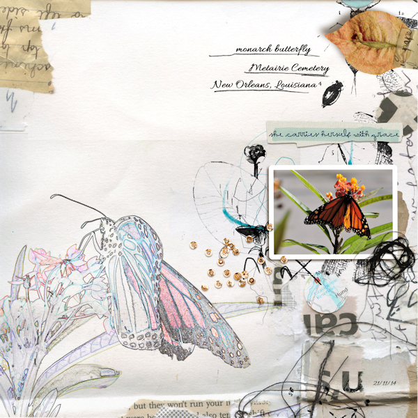 141121_monarch