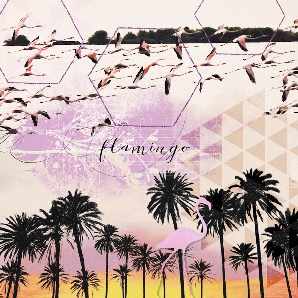 14apr24_flamingo02