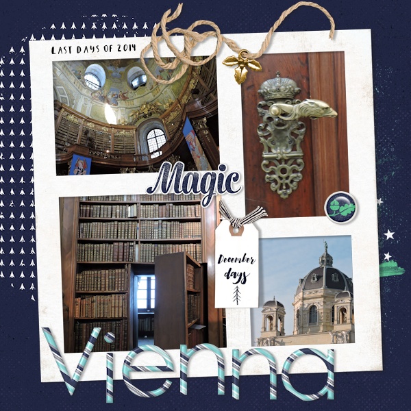 14dec30_Vienna01