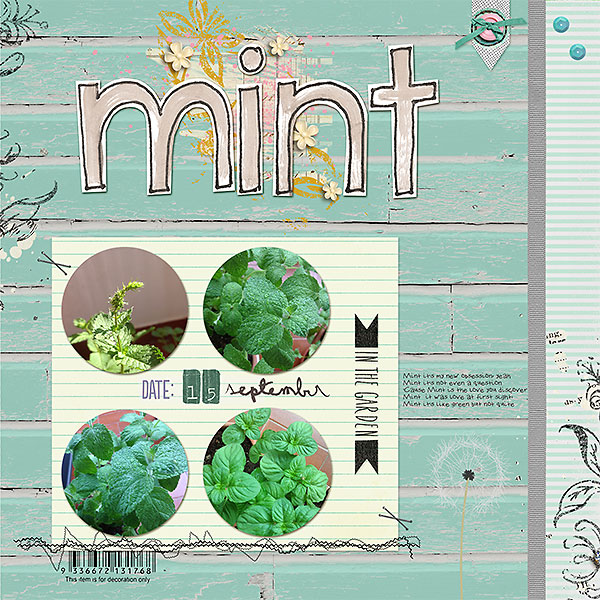 15 sept - Mint