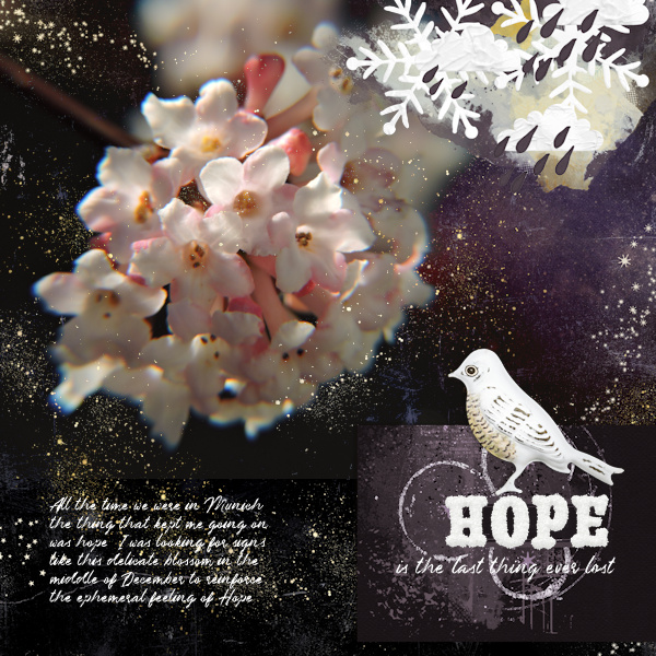 151210_Munich Hope