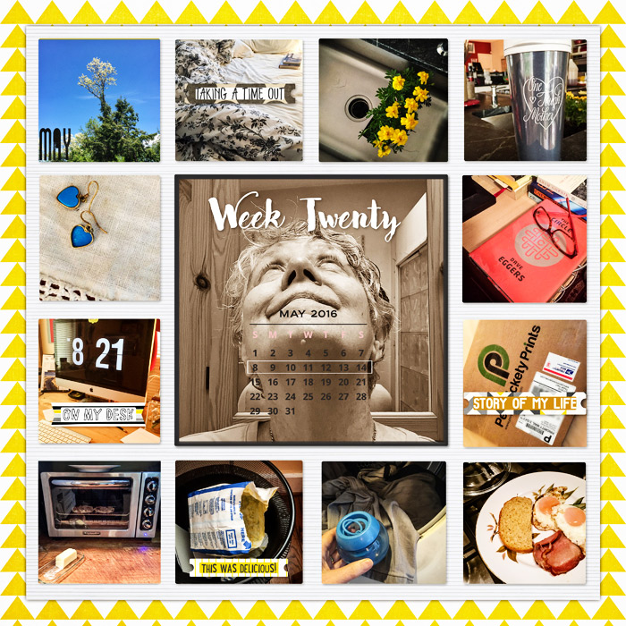 16-PL-wk-20-A