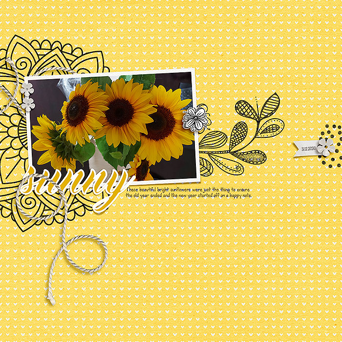 16: Sunny