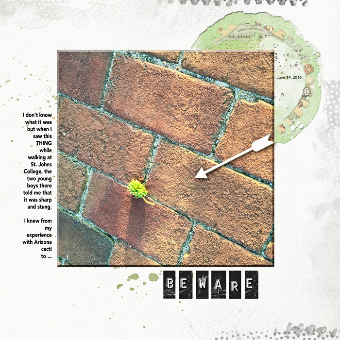 1606-Photography-Challenge-Beware