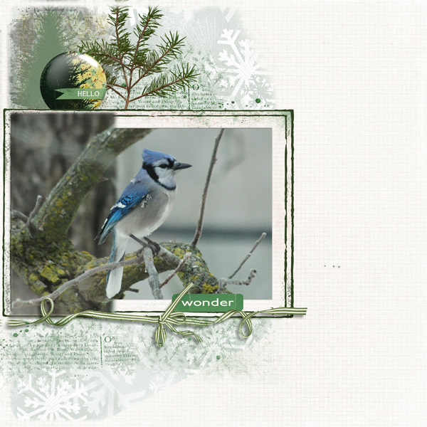 1612_style_bluejay