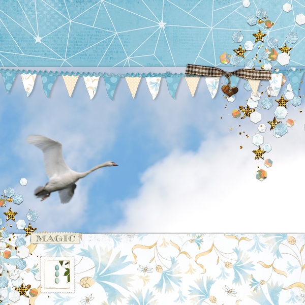 16apr_swan