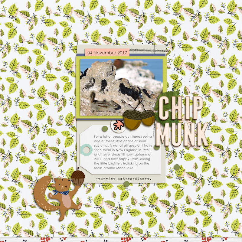 16Nov04_chipmunk01
