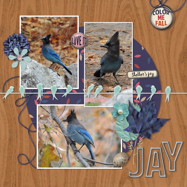 16yosemite_jay01