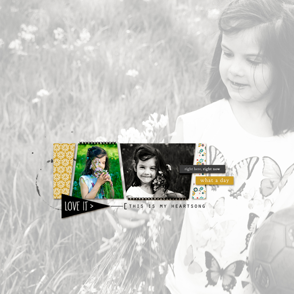17.04.09_song Copie_600_R