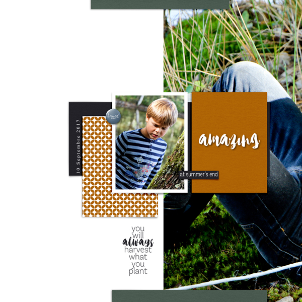 17.09.09_amazing Copie_600_L