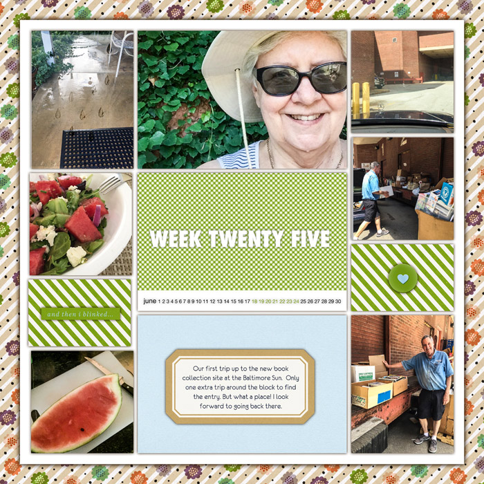 17-wk-25