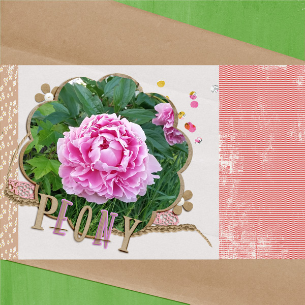 170530_peonies3