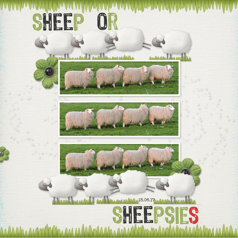 170615_sheepsies
