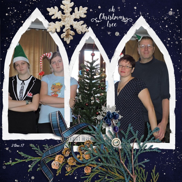 17dec03_tree01