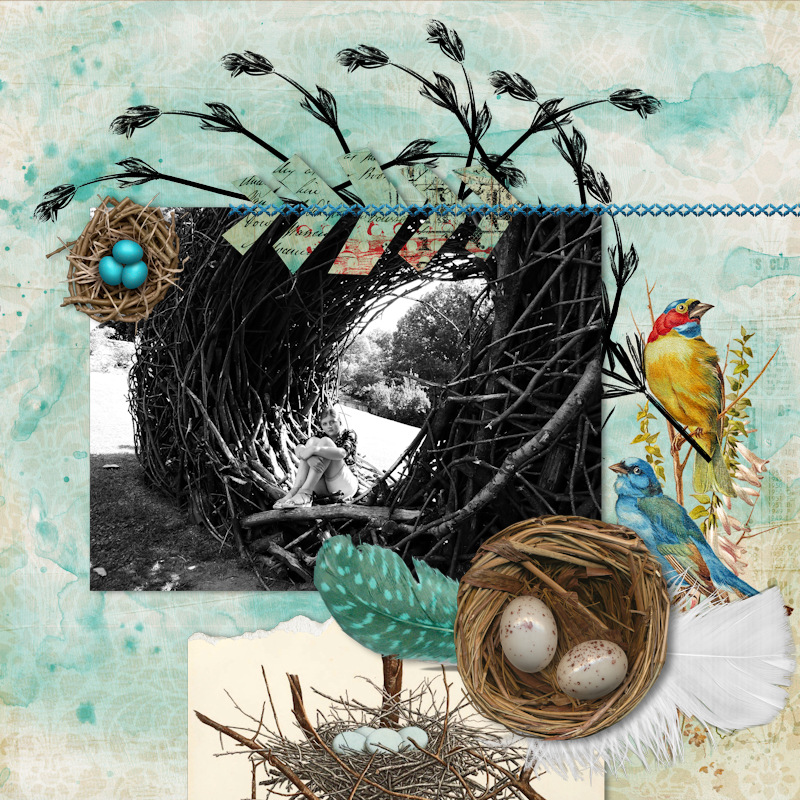 17jul_nest01