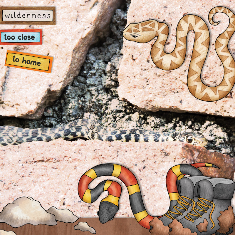 17july_snake