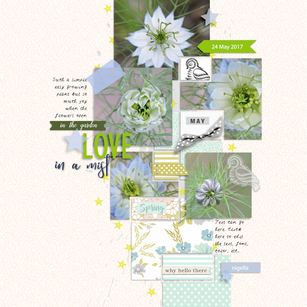 17may24_nigella