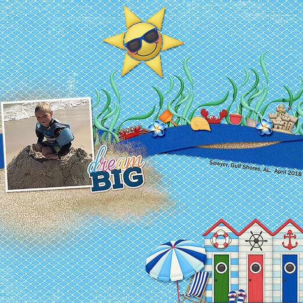 18.04 Dream Big - Sawyer