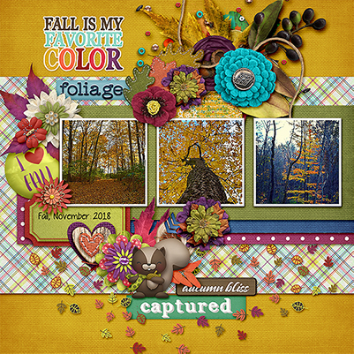 18.11 Fall Is My Favorite Color