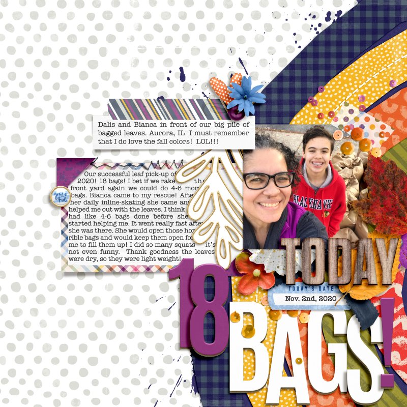 18 BAGS!