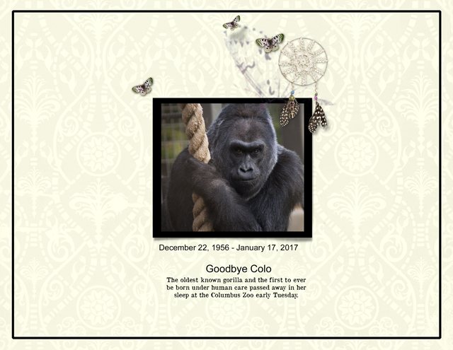 18.Goodbye-Colo
