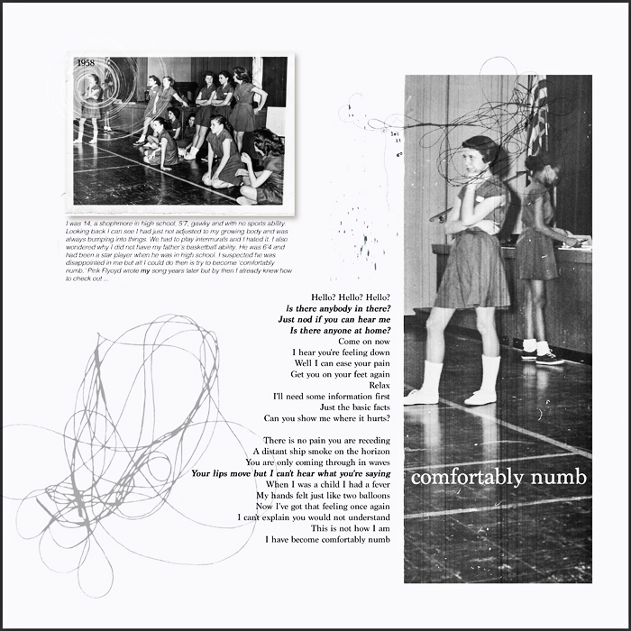1802-TLP-Journaling- Comfortably Numb