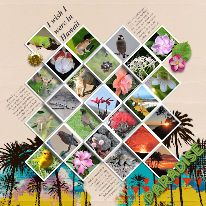 1803end_Hawaii