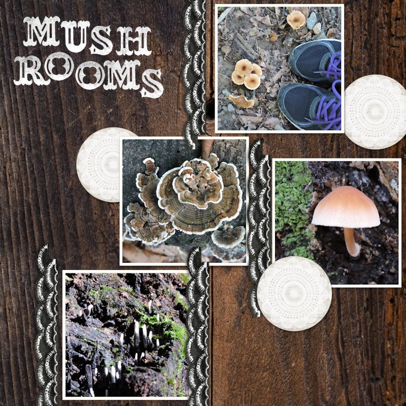 180919_mushrooms.jpg