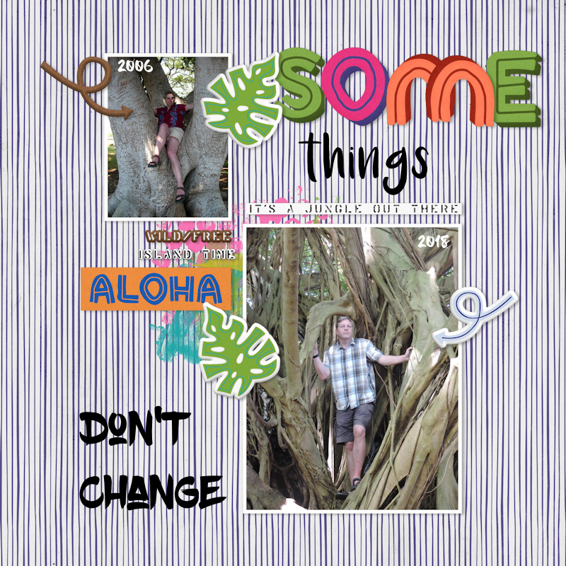 18_06_Hawaii_JB01