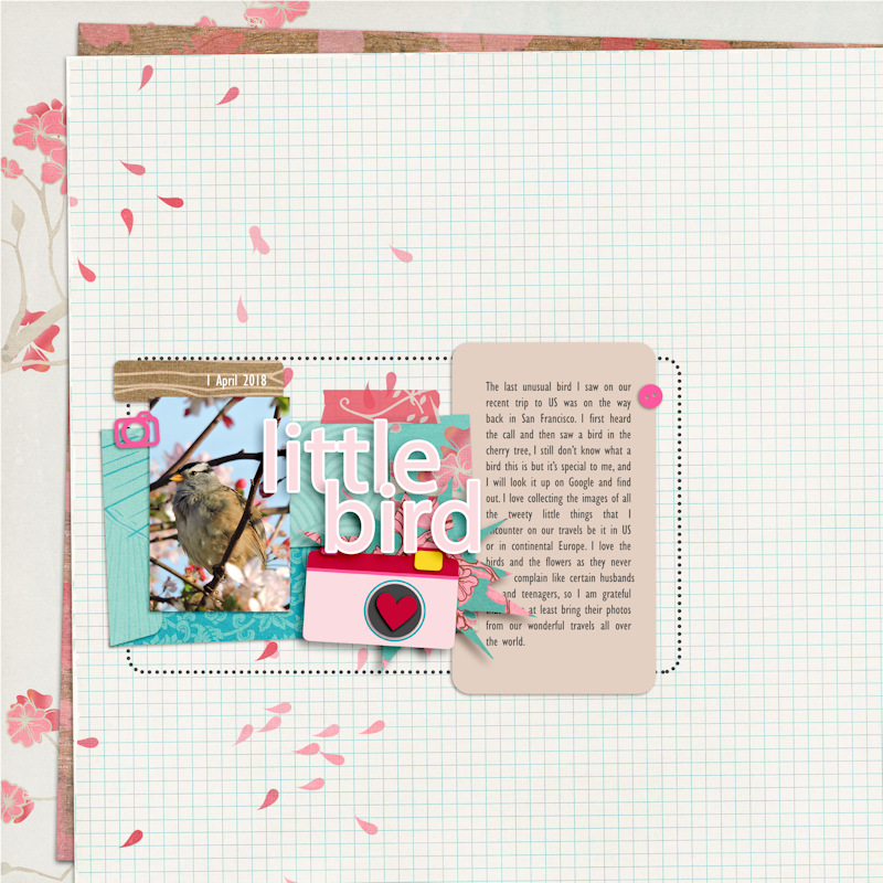 18apr01_bird