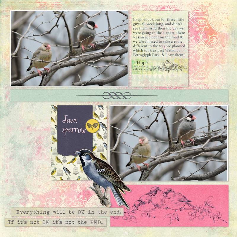 18apr01_sparrow