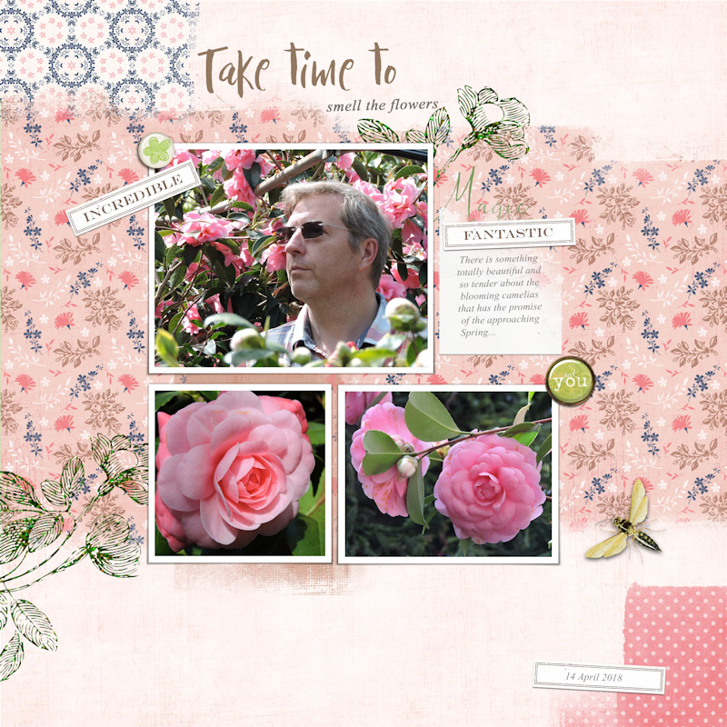 18apr14_camelia01