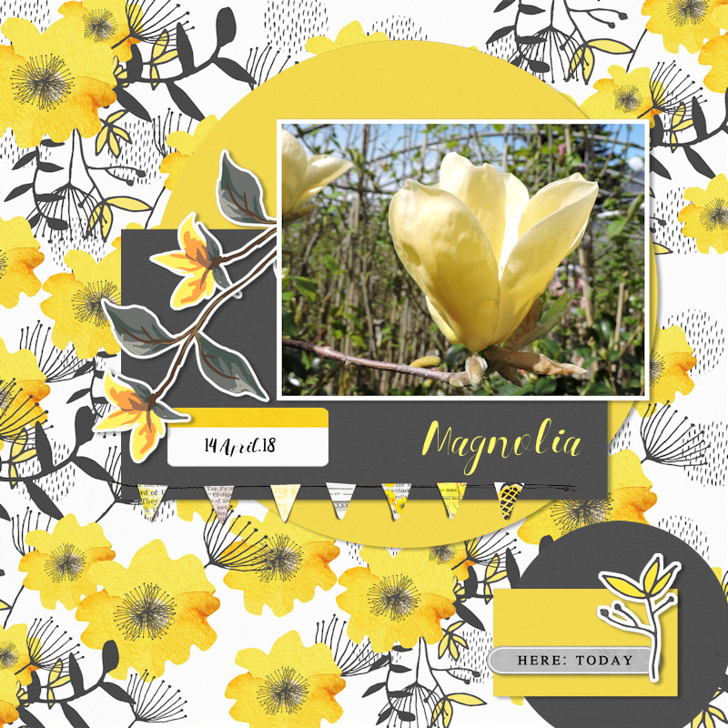18apr14_magnolia03