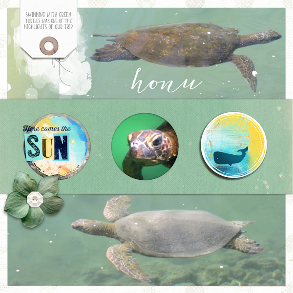 18mar27_turtles