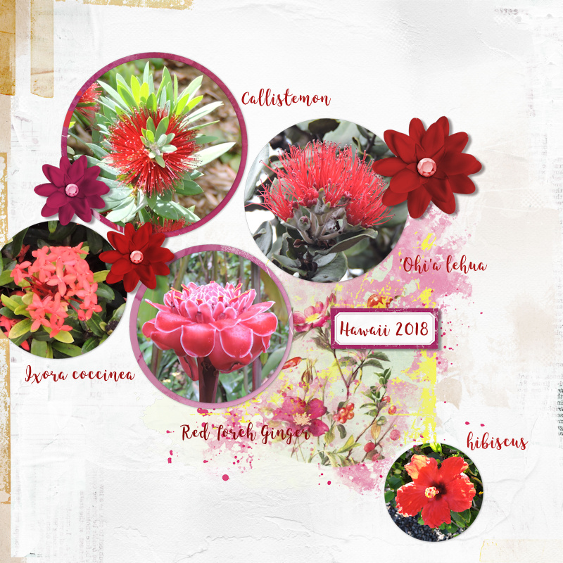 18mar_flowers Red