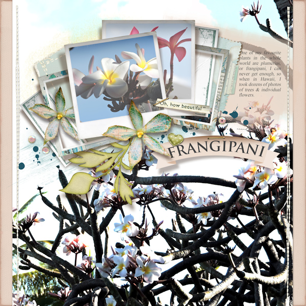 18mar_frangipani