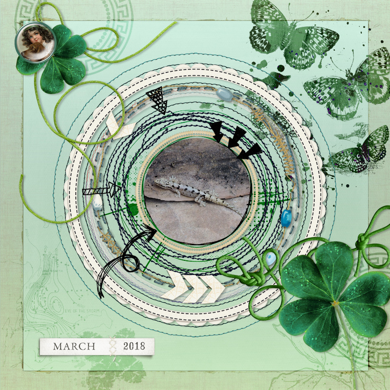 18mar_gecko02