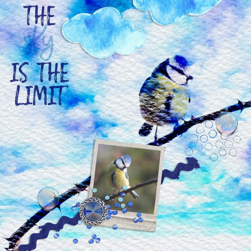 18mar_spring_bluetit