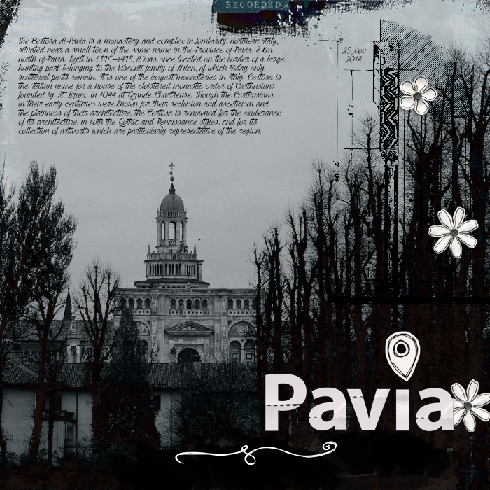 18nov25_Pav
