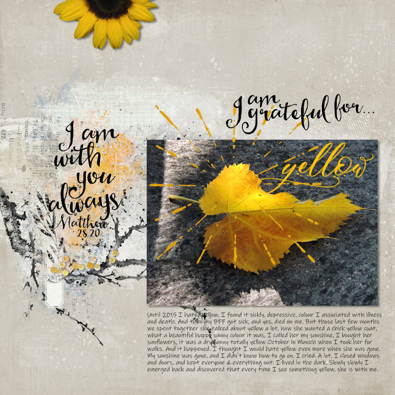 18Pauline_Yellow