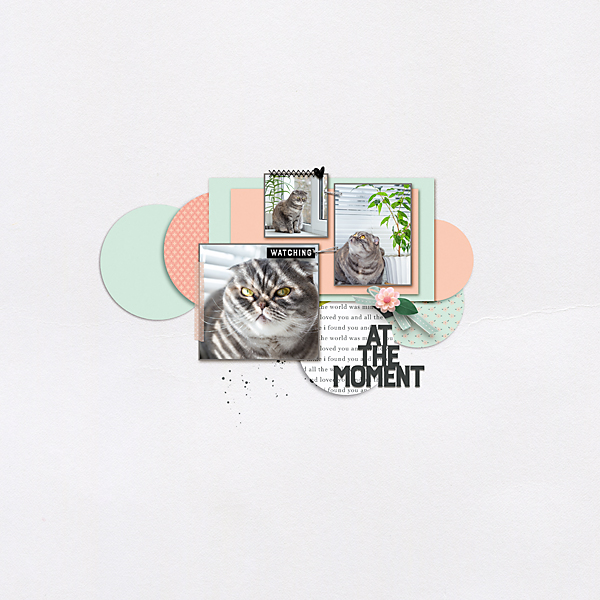 19-01_MOC7_JJanuary-28--Combine-Two-Templates-copy