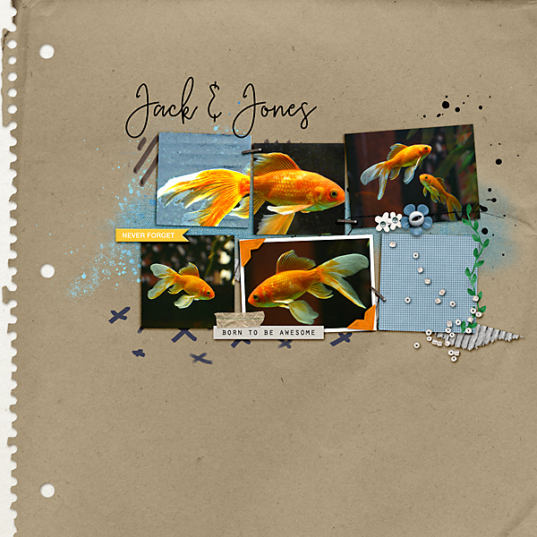 19-06_prd_blog-challenge-juni-copy