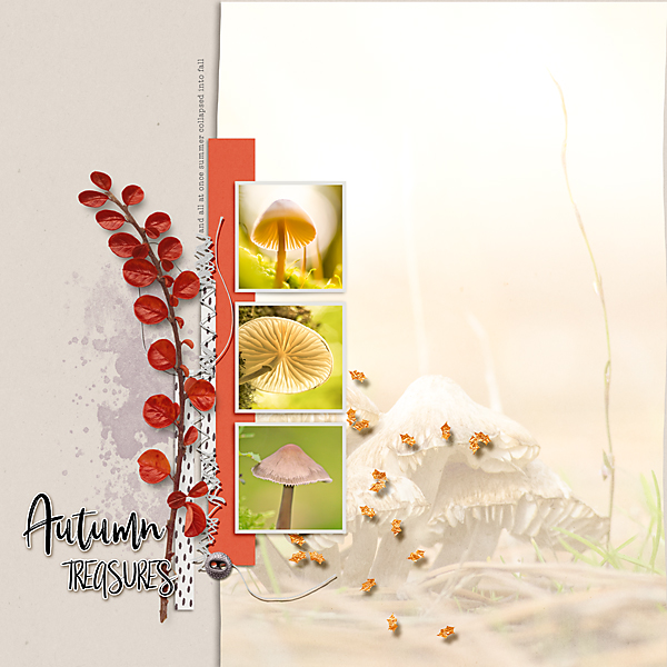 19-09_Soco_AutumnTreasures-copy