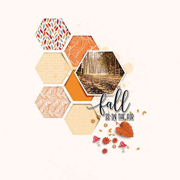 19-09_Soco_HexagonsNo7_falling-leaves-copy